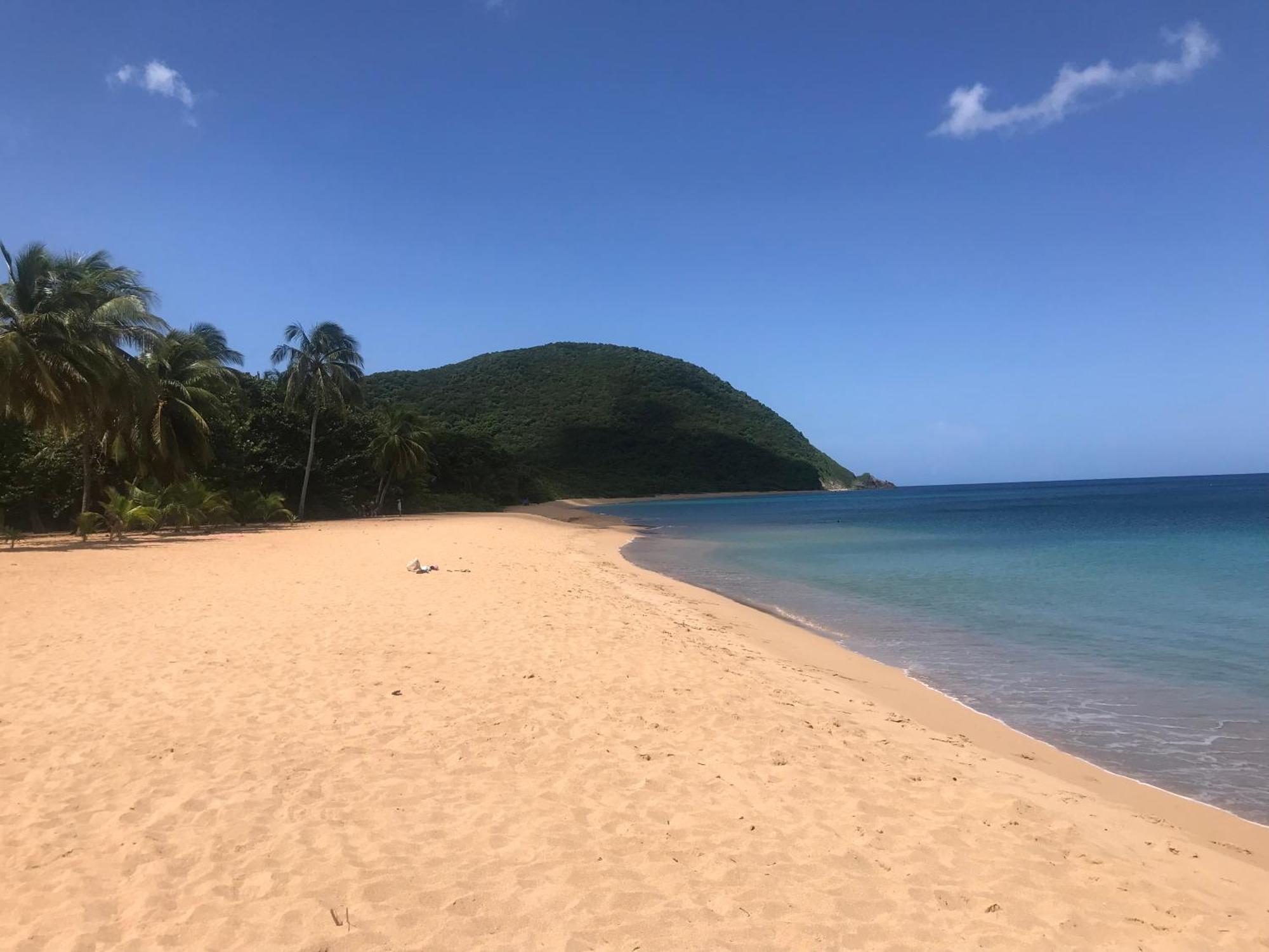 Villa Coco Caraibes Deshaies Luaran gambar