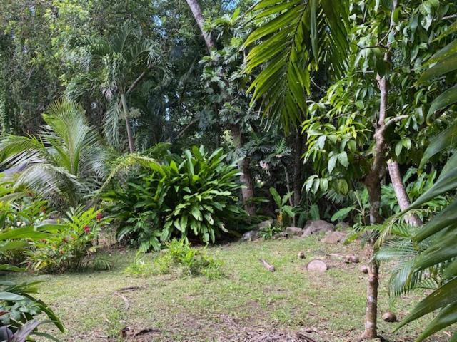 Villa Coco Caraibes Deshaies Luaran gambar
