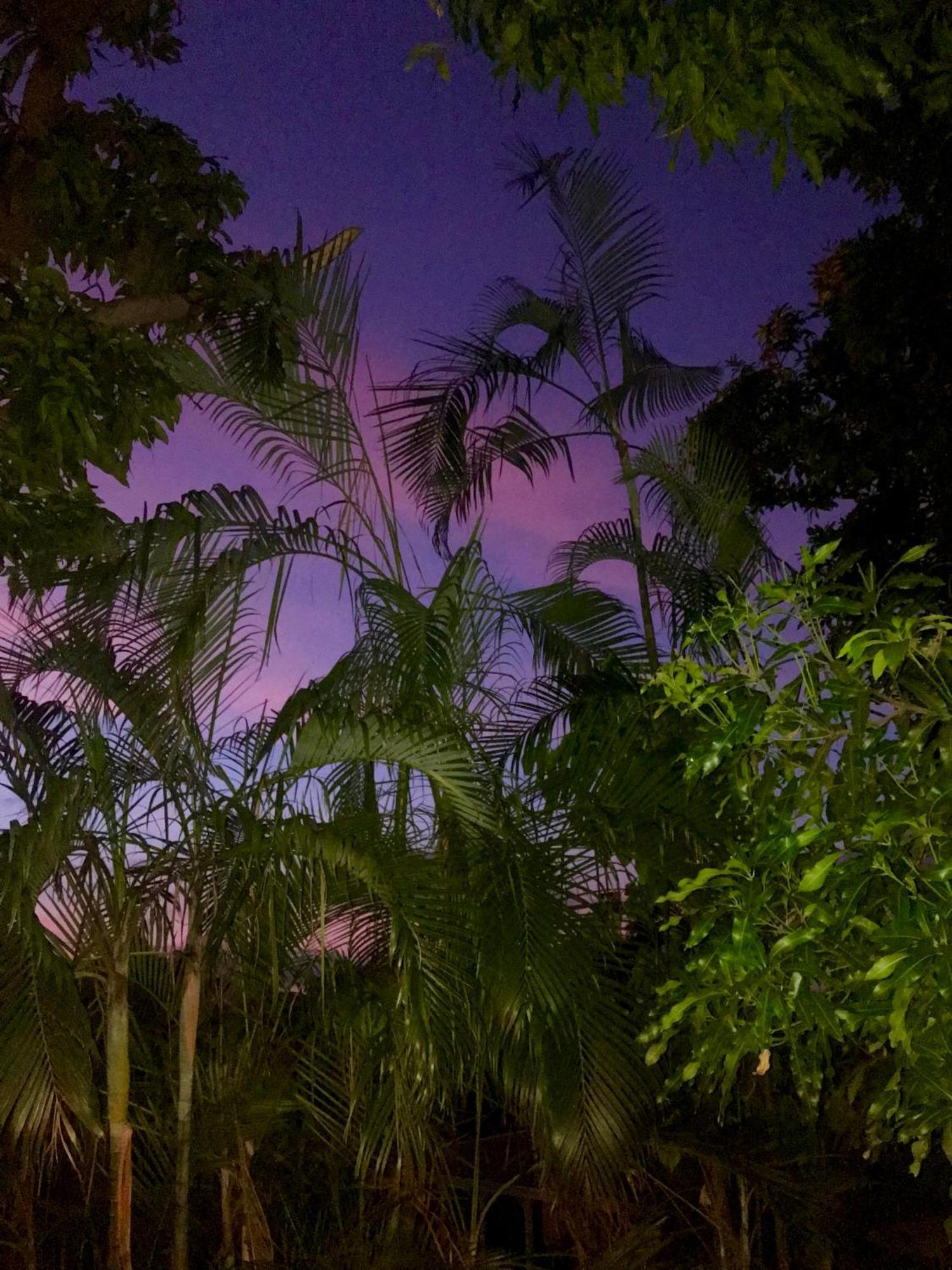 Villa Coco Caraibes Deshaies Luaran gambar