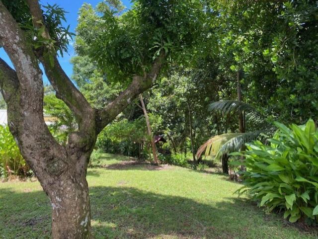 Villa Coco Caraibes Deshaies Luaran gambar