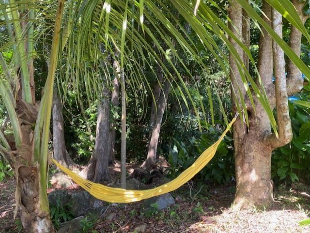 Villa Coco Caraibes Deshaies Luaran gambar